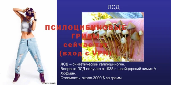 прущая мука Губаха