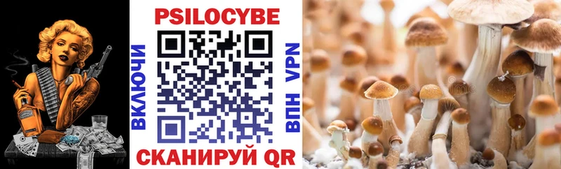 Псилоцибиновые грибы Cubensis Новопавловск